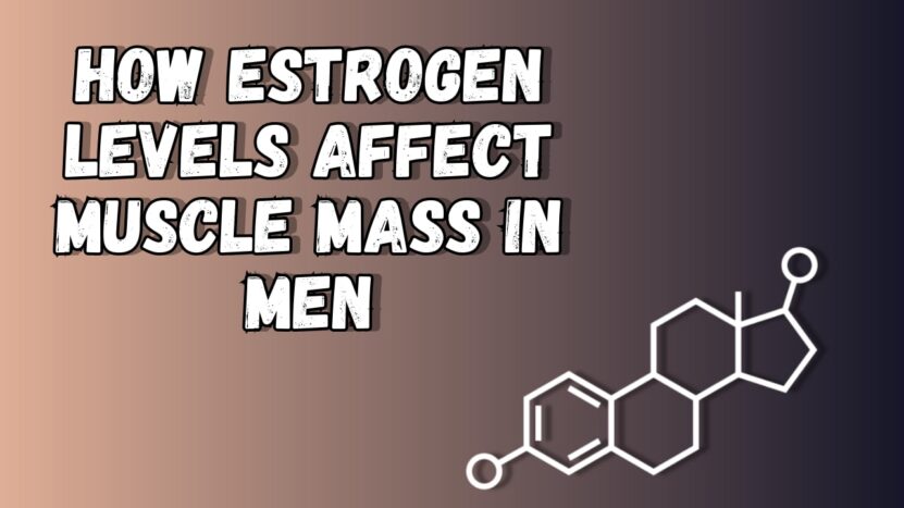 How Estrogen Levels Affect Muscle Mass in Men
